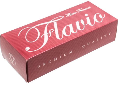 Перьевая ручка Flavio Ferrucci Classico, Silver / Gold (перо M)