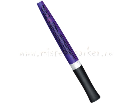 Перьевая ручка Waterman Audace, Purple Link