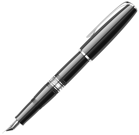 Перьевая ручка Waterman Charleston, Ebony Black CT (Перо M)
