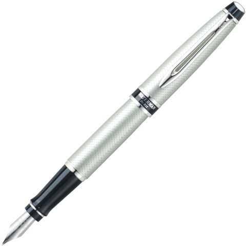 Перьевая ручка Waterman Expert City Line, Urban Silver (Перо M)