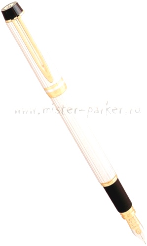 Перьевая ручка Waterman Man 100, Solid Silver
