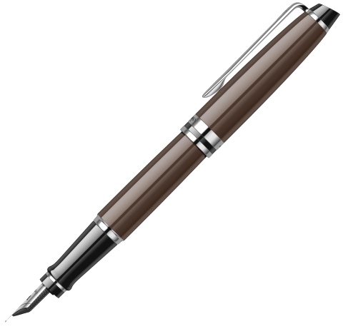 Ручка перьевая Waterman Expert 3 Essential, Deep Brown CT (перо F)