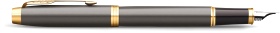 Перьевая ручка Parker IM Premium, Grey Core GT (Перо M)