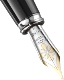     Diplomat Excellence A 14-ct bicolor nib, fittings CP (M)